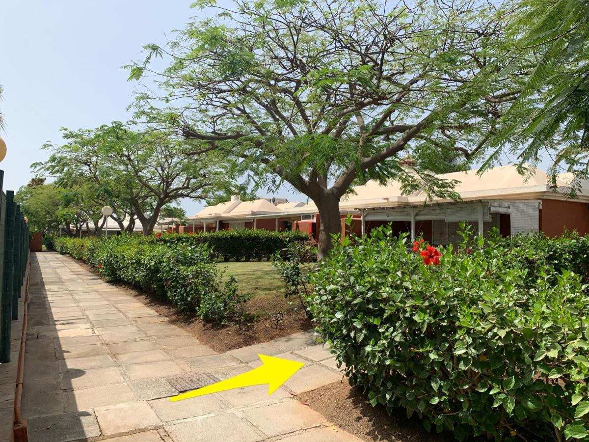 Flamboyant Tree Garden Holiday Home 마스팔로마스 외부 사진